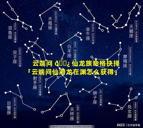 云端问 🌿 仙龙族命格抉择「云端问仙潜龙在渊怎么获得」